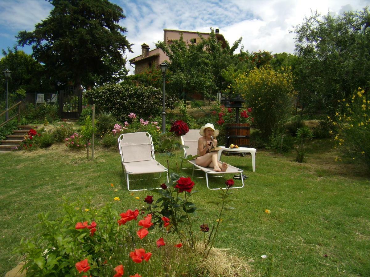 B&B Il Poggetto Montespertoli Extérieur photo